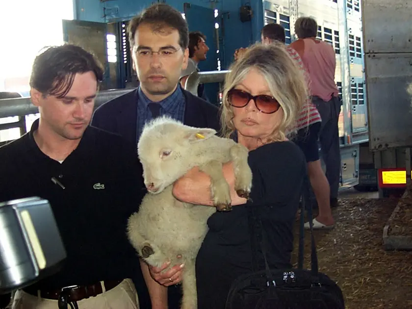 Brigitte Bardot con gli animalisti alla Sdag di Gorizia. Foto Bumbaca