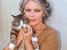 La diva francese con un micio in braccio