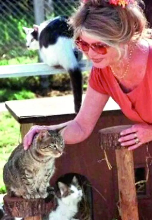 La diva francese era molto legata ai gatti di Trieste