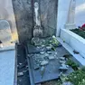 I danneggiamenti nei cimiteri una delle tombe vandalizzate (da fb, Krajevna skupnost skofije)
