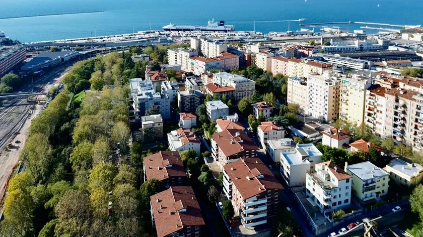Una veduta su Trieste e il porto (Silvano)