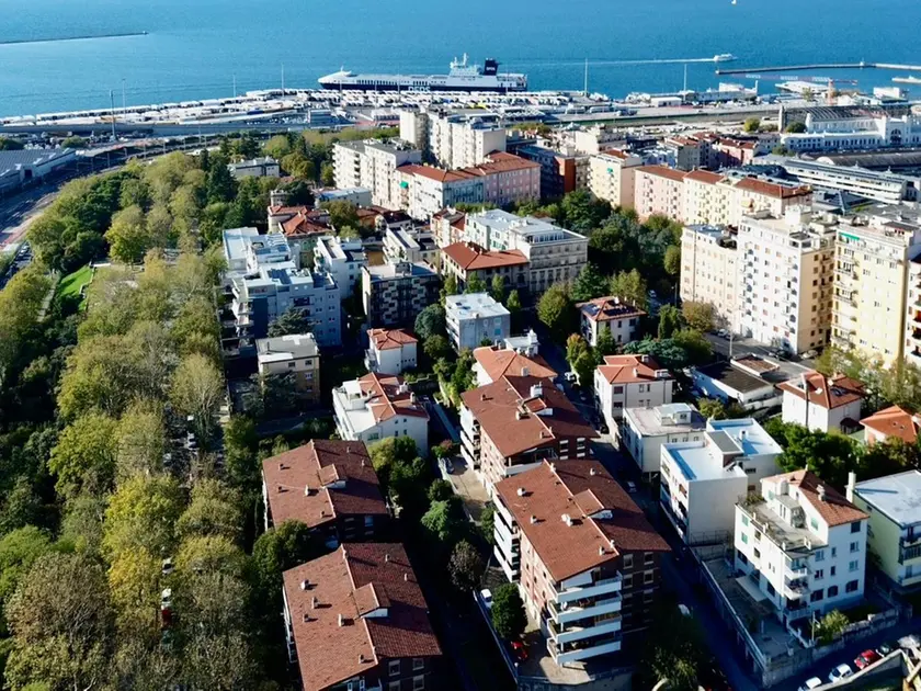 Una veduta su Trieste e il porto (Silvano)