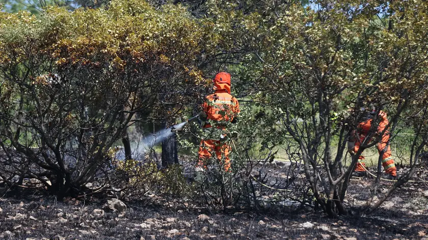 Incendio in un'area boschiva in una foto di archivio