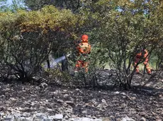 Incendio in un'area boschiva in una foto di archivio