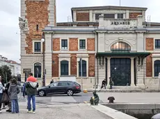 (foto Andrea Lasorte)