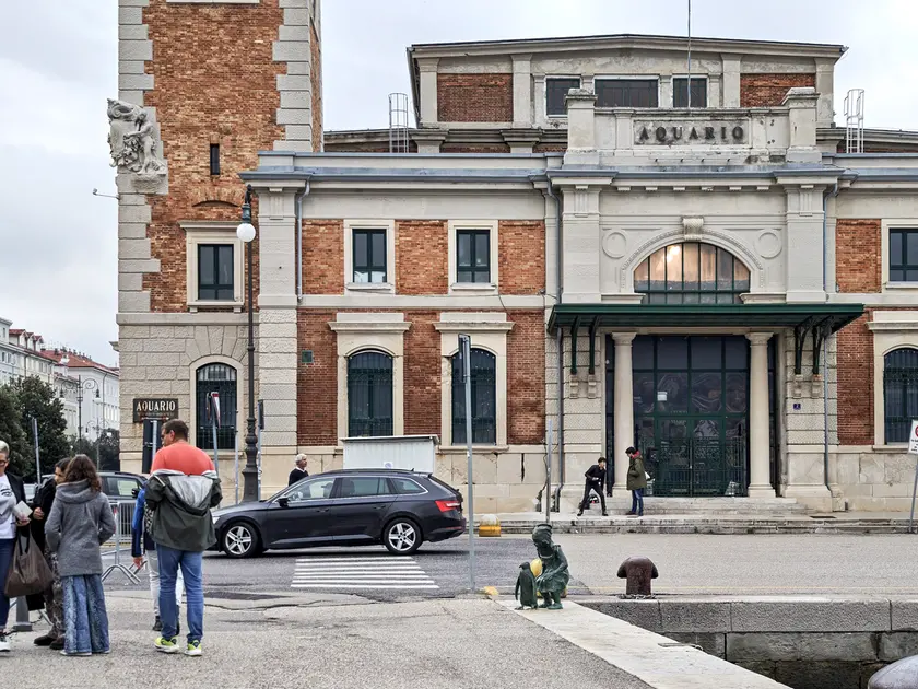 (foto Andrea Lasorte)