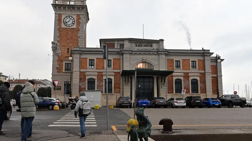 L'Aquario di Trieste (Bruni)