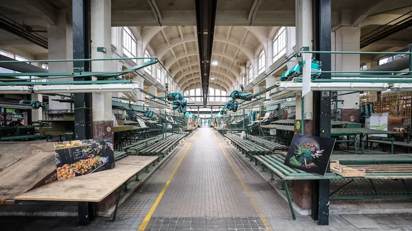 Lo storico Mercato coperto di Gorizia (Tibaldi)