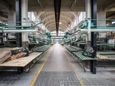 Lo storico Mercato coperto di Gorizia (Tibaldi)