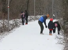La neve a Sincrotrone, sul Carso triestino (Lasorte)