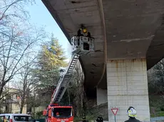 L'intervento dei Vigili del fuoco