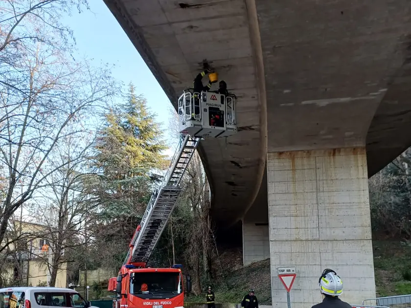 L'intervento dei Vigili del fuoco
