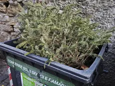 (foto Andrea Lasorte)