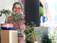 Tomoko Niizato: la sua passione sono i bonsai (Foto Andrea Lasorte)
