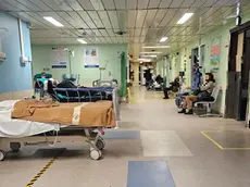 L'area a Cattinara dove sono stati sistemati alcuni dei 15 letti che vengono utilizzati in emergenza