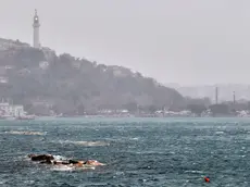 La Bora dei giorni scorsi (Silvano)