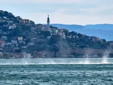 (foto Massimo Silvano)