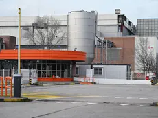 La cartiera di San Giovanni di Duino che, accanto all’edificio rosso, ospita la centrale elettrica da cui partirà il tracciato