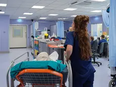 L’ospedale di Cattinara al centro di un caso giudiziario sul fine vita rovesciato in appello a favore di Asugi Foto Silvano