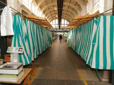 Il mercato coperto in attesa di rilancio dopo la chiusura di gran parte dei banchi degli operatori. Ora prende piede l’iniziativa di Comune, Cciaa e Regione (Foto Tibaldi/Marega)