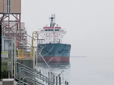 Il monito del sindacato internazionale Itf: «Carburanti e scarichi di sentina non svuotati. E se le bitte di bordo cedessero, finirebbe tra le barche in canale»