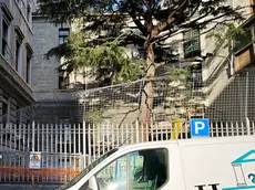 La rete piegata e le lenzuola annodate per la fuga lo scorso dicembre (foto Lasorte)