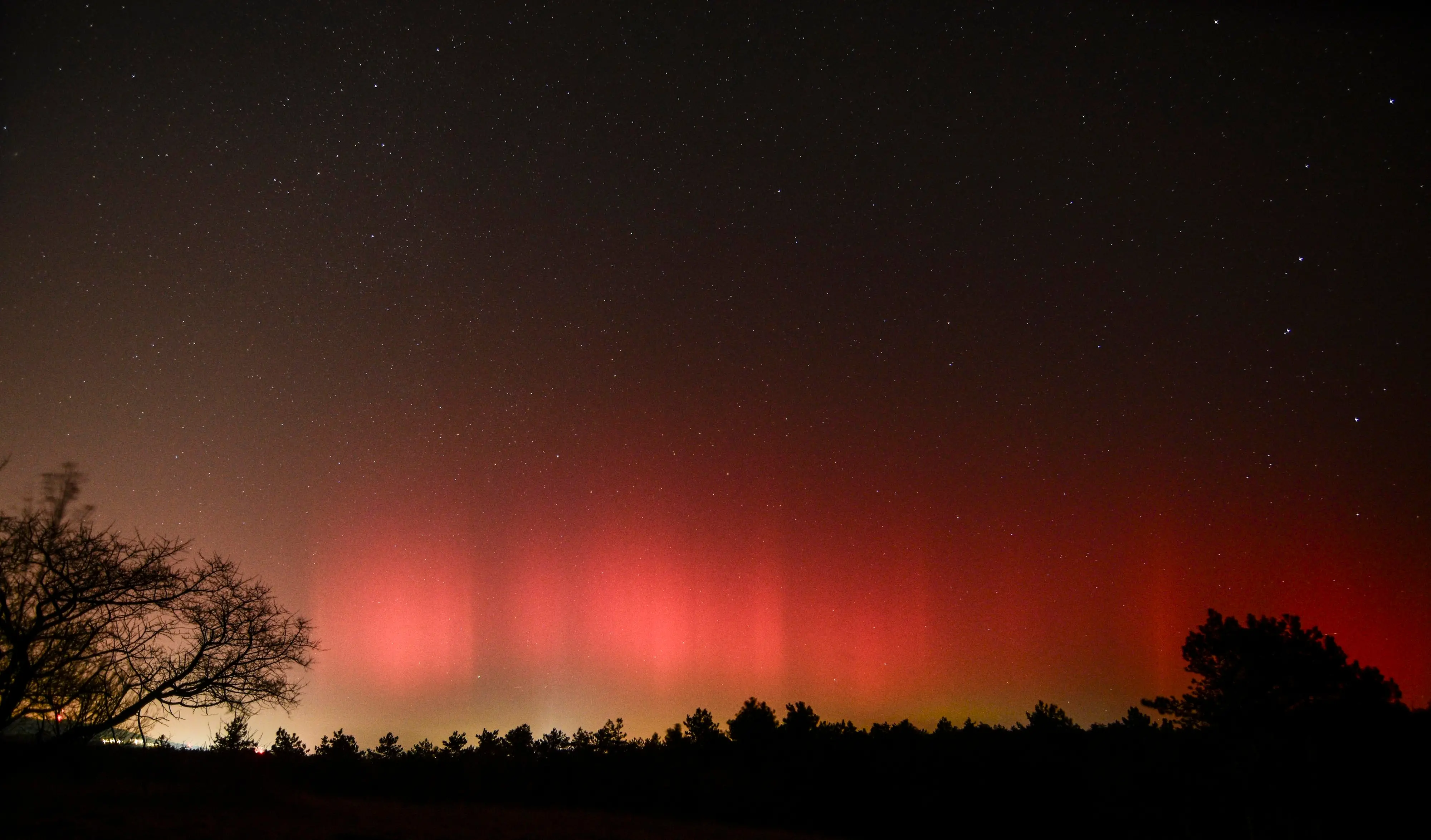 Ecco le foto che ci avete mandato dello spettacolo nel cielo