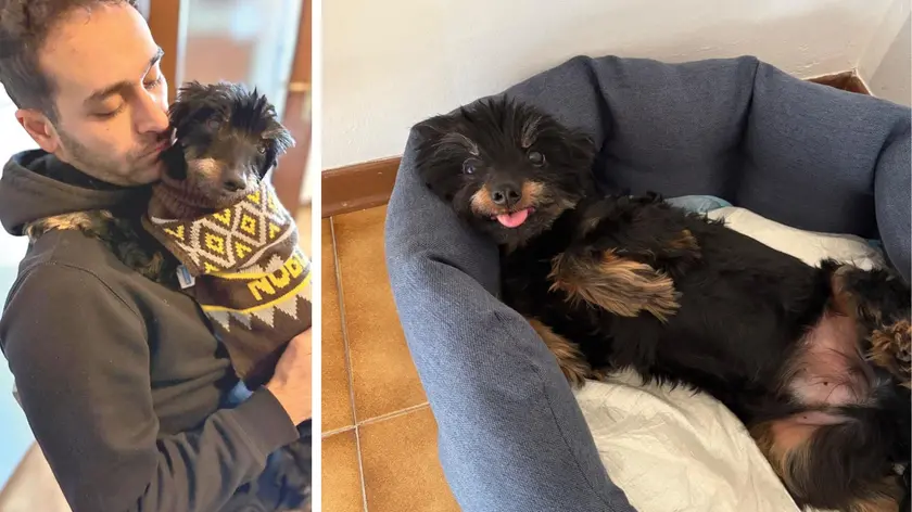 Davide Mostarda con in braccio il cagnolino Pepe