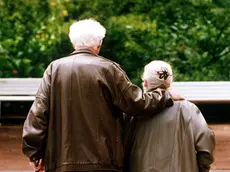 Nuovi residenti ma anche popolazione più anziana in Istria