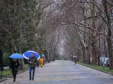 Viale Romolo Gessi (Silvano)