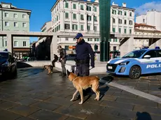 I controlli in piazza Goldoni (Silvano)