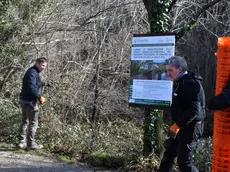 L'avvio dei lavori per la messa in sicurezza dell'alveo del torrente Rosandra. Foto Bruni