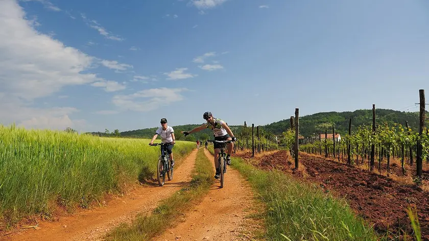 Alcune suggestive immagini della "Strada dell'amicizia", tracciato ciclopedonale che parte dal confine dell'Italia, percorre Slovenia e Croazia attraverso il tracciato dell'ex linea ferroviaria a scartamento ridotto "Parenzana"