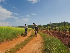 Alcune suggestive immagini della "Strada dell'amicizia", tracciato ciclopedonale che parte dal confine dell'Italia, percorre Slovenia e Croazia attraverso il tracciato dell'ex linea ferroviaria a scartamento ridotto "Parenzana"
