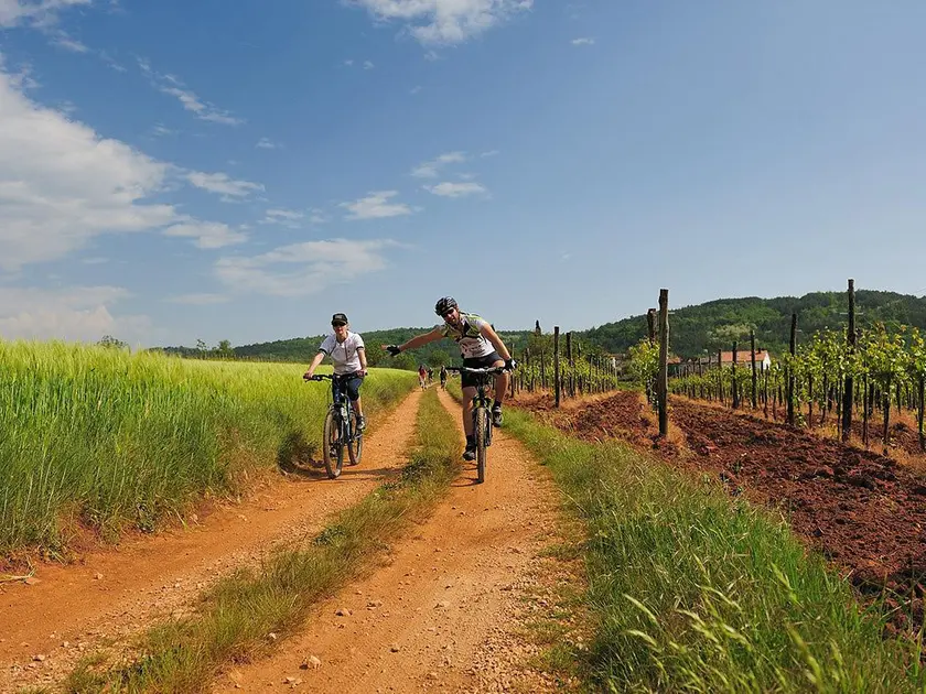 Alcune suggestive immagini della "Strada dell'amicizia", tracciato ciclopedonale che parte dal confine dell'Italia, percorre Slovenia e Croazia attraverso il tracciato dell'ex linea ferroviaria a scartamento ridotto "Parenzana"
