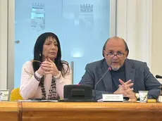 La conferenza stampa di Cisint e Fasan