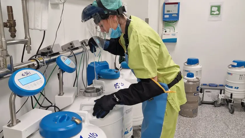 I contenitori con l'azoto liquido in cui vengono conservati