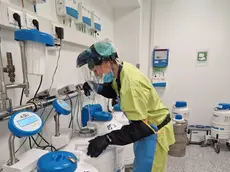 I contenitori con l'azoto liquido in cui vengono conservati