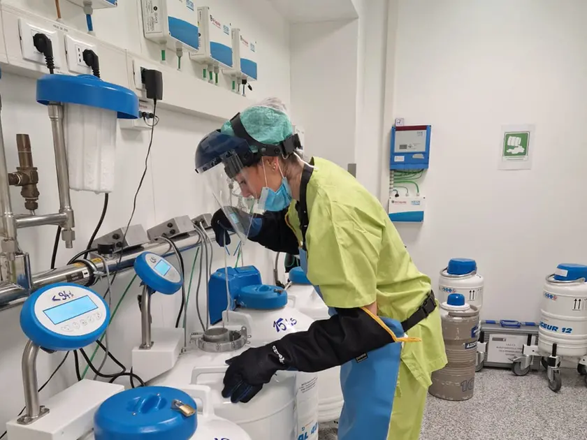 I contenitori con l'azoto liquido in cui vengono conservati