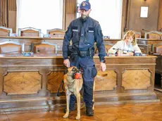 Il cane Conan con il suo conduttore