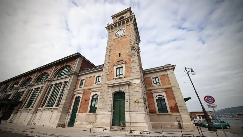 Nelle foto di Andrea Lasorte l'Aquario e gli animali ospitati