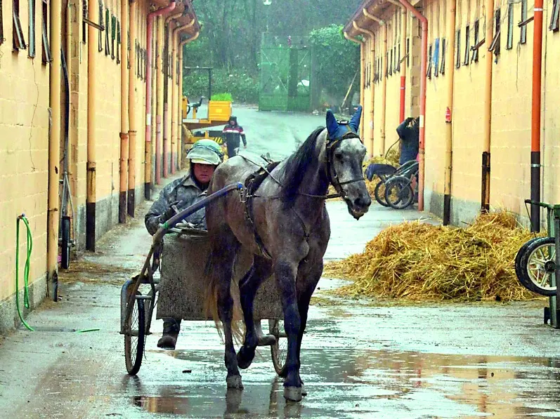 L'attività a Montebello. Foto Bruni