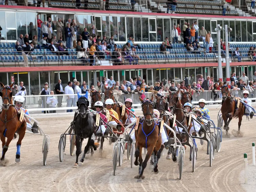Una gara di trotto a Montebello Foto Bruni