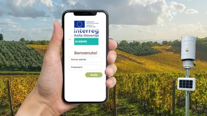 Un’immagine “promotional” di Ai-Grape