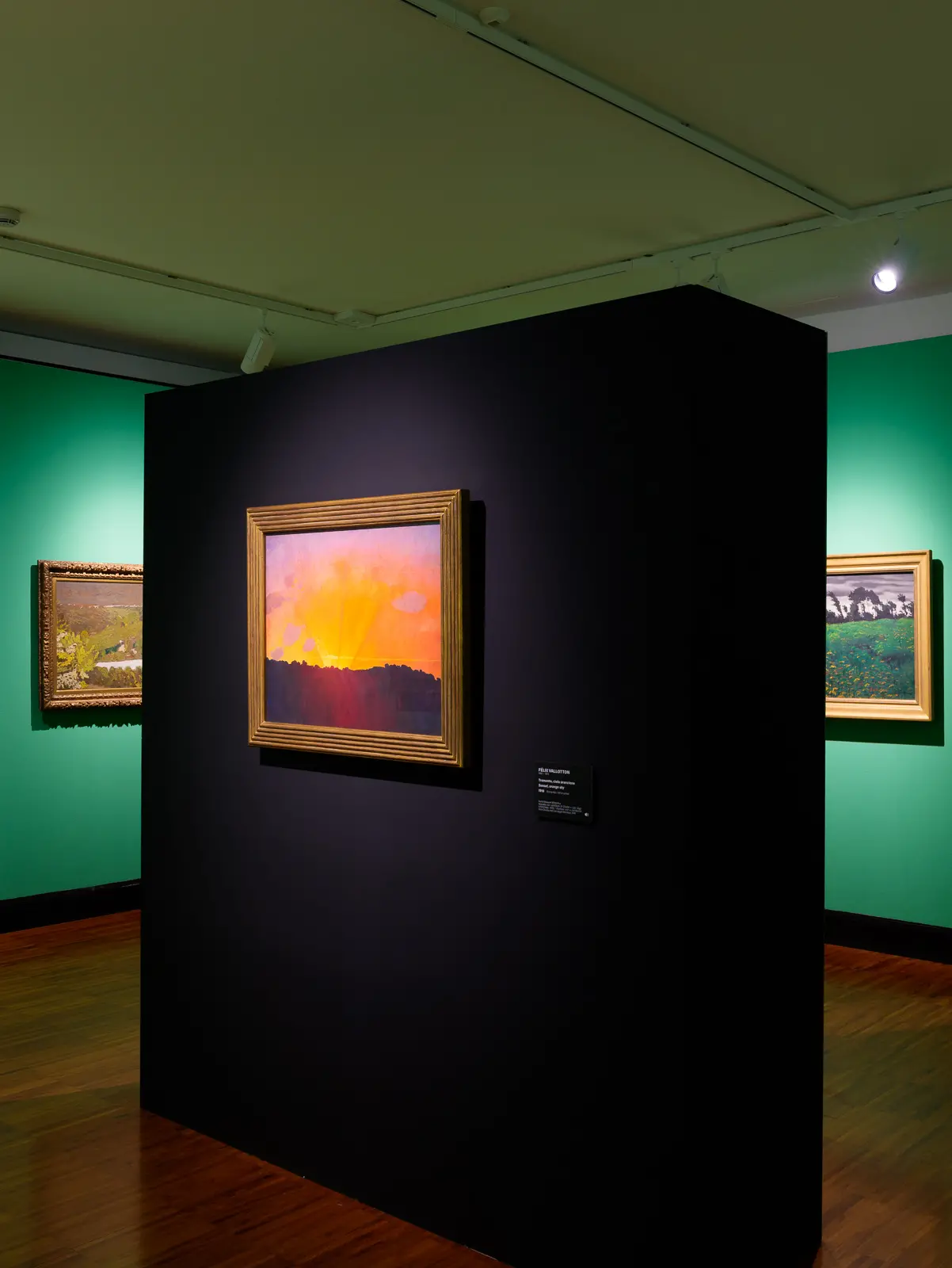 L'allestimento della mostra