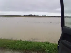 Un'immagine eloquente degli allagamenti che hanno interessato le frazioni agricole di Fossalon e Boscat