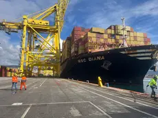 La Msc Diana al porto di Trieste