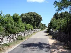Un tratto della strada Ossero - Punta Croce (foto Novi list)