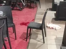 Un’immagine interna del Caffé Teatro, dove i tre giovani feriti si erano rifugiati