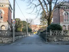 Via Brindisi a Monfalcone (foto Katia Bonaventura)